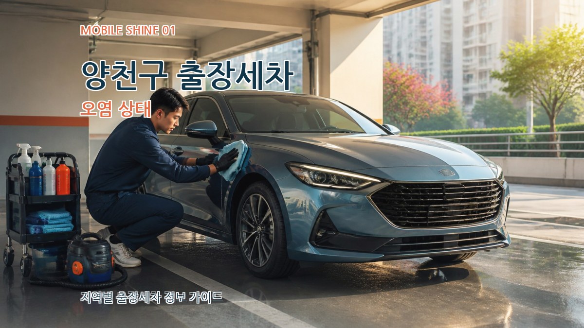 양천구 출장세차